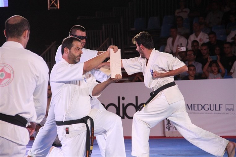 Martial Arts Festival